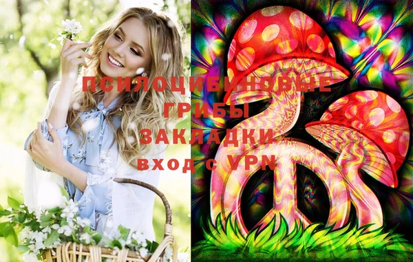 гидропоника Нея