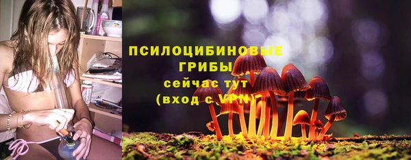стаф Нефтекумск