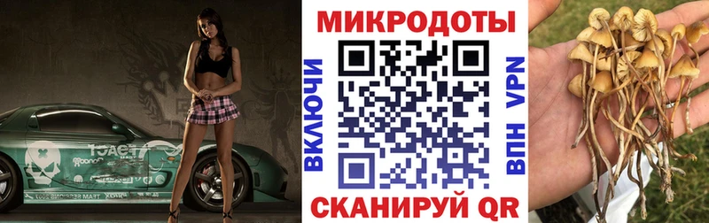 MEGA маркетплейс  дарнет шоп  Поворино  Галлюциногенные грибы Magic Shrooms 